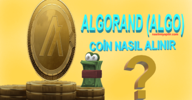 Algorand (ALGO) Coin Nasıl Alınır, Geleceği, Hangi Borsada?