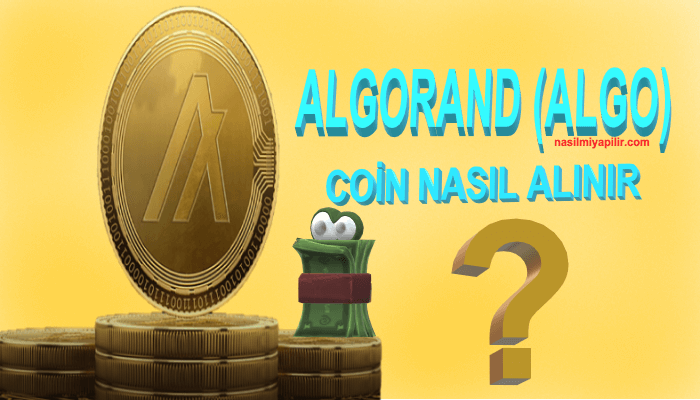 Algorand (ALGO) Coin Nasıl Alınır, Geleceği, Hangi Borsada?