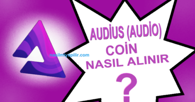 Audius (AUDIO) Coin Nasıl Alınır, Geleceği, Hangi Borsada?