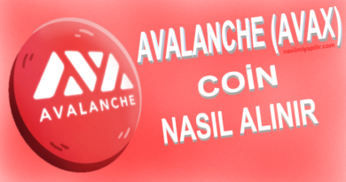 Avalanche Coin Nasıl Alınır? AVAX Coin Geleceği, Hangi Borsada?
