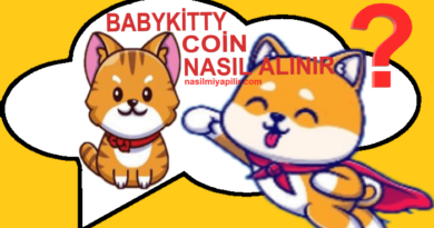 BabyKitty Coin Nasıl Alınır, Geleceği, Hangi Borsada?