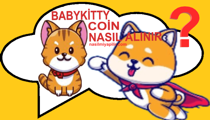 BabyKitty Coin Nasıl Alınır, Geleceği, Hangi Borsada?