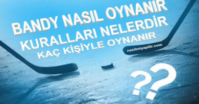 Bandy Nasıl Oynanır? Kuralları Nelerdir? Kaç Kişiyle Oynanır?