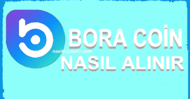 BORA Coin Nasıl Alınır, Geleceği, Hangi Borsada?