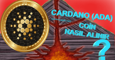 Cardano (ADA) Coin Nasıl Alınır, Geleceği, Hangi Borsada?