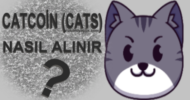 Catcoin (CATS) Nasıl Alınır, Geleceği, Hangi Borsada?