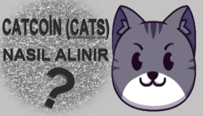 Catcoin (CATS) Nasıl Alınır, Geleceği, Hangi Borsada?