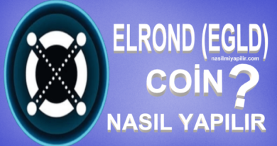 Elrond (EGLD) Coin Nasıl Alınır, Geleceği, Hangi Borsada?