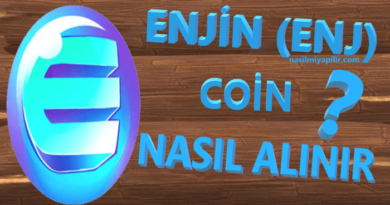 Enjin (ENJ) Coin Nasıl Alınır, Geleceği, Hangi Borsada?