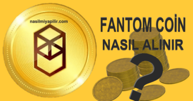 Fantom (FTM) Coin Nasıl Alınır, Geleceği, Hangi Borsada?