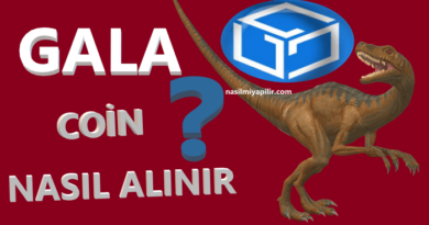 Gala Coin Nasıl Alınır, Geleceği, Hangi Borsada?