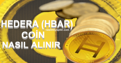 Hedera (HBAR) Coin Nasıl Alınır, Geleceği, Hangi Borsada?