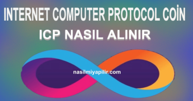 Internet Computer (ICP) Coin Nasıl Alınır, Geleceği, Hangi Borsada?