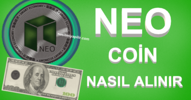 NEO Coin Nasıl Alınır, Geleceği, Hangi Borsada?