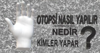 Otopsi Nasıl Yapılır? Otopsiyi Kimler Yapar?