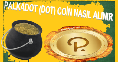 Palkadot (DOT) Coin Nasıl Alınır, Geleceği, Borsaları?