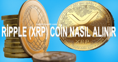 Ripple (XRP) Coin Nasıl Alınır, Geleceği, Hangi Borsada?