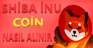 Shiba İnu (SHIB) Coin Nasıl Alınır, Geleceği, Hangi Borsada?