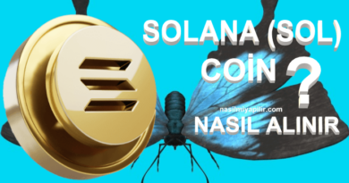 Solana (SOL) Coin Nasıl Alınır, Geleceği, Hangi Borsada?