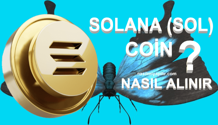 Solana (SOL) Coin Nasıl Alınır, Geleceği, Hangi Borsada?