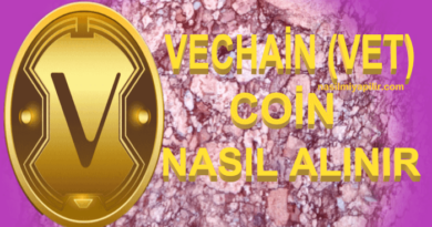 VeChain (VET) Coin Nasıl Alınır, Geleceği, Hangi Borsada?