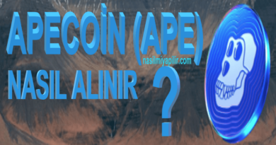 ApeCoin Nasıl Alınır, Geleceği, Hangi Borsada?
