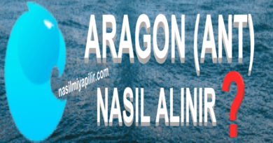 Aragon Coin Nasıl Alınır? ANT Coin Geleceği, Hangi Borsada?