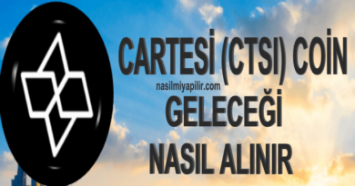 Cartesi Coin Geleceği? CTSI Coin Nasıl Alınır, Hangi Borsada?