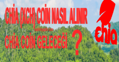 Chia Coin Geleceği? XCH Coin Nasıl Alınır, Hangi Borsada?