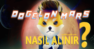 Dogelon Mars Coin Nasıl Alınır? Elon Coin Geleceği, Hangi Borsada?