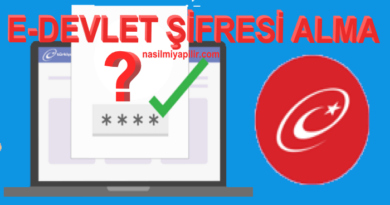 e-Devlet Şifresi Alma! PTT'ye Gitmeden Nasıl Alınır?