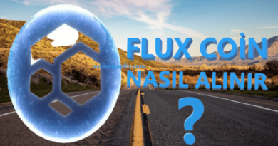 Flux Coin Nasıl Alınır, Geleceği, Hangi Borsada?