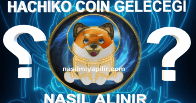 Hachiko Coin Geleceği? Hachiko Coin Nasıl Alınır, Yorum!