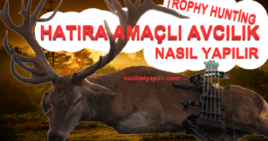 Hatıra Amaçlı Avcılık Nasıl Yapılır? Trophy Hunting Nedir?