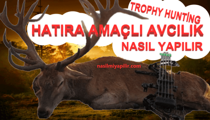 Hatıra Amaçlı Avcılık Nasıl Yapılır? Trophy Hunting Nedir?