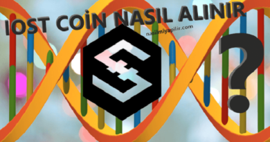 IOST Coin Nasıl Alınır, Geleceği, Hangi Borsada?