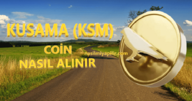 Kusama Coin Nasıl Alınır? KSM Coin Geleceği, Hangi Borsada?