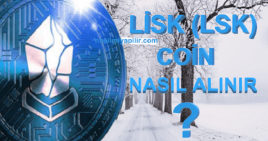 Lisk Coin Nasıl Alınır? LSK Coin Geleceği, Hangi Borsada?