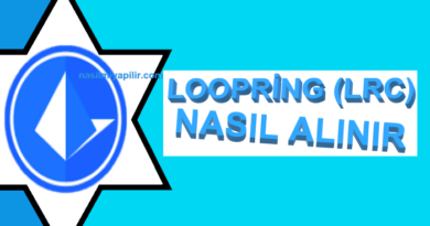 Loopring (LRC) Coin Nasıl Alınır, Geleceği, Hangi Borsada?