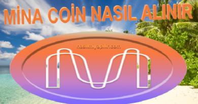 Mina Coin Nasıl Alınır, Geleceği, Hangi Borsada?