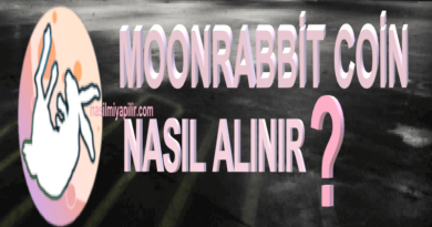 MoonRabbit Coin Nasıl Alınır, Geleceği, Hangi Borsada?