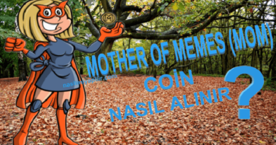 Mother of Memes Coin Nasıl Alınır? MOM Coin Geleceği, Hangi Borsada?