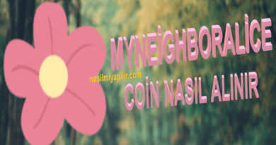 Alice Coin Nasıl Alınır? MyNeighborAlice Coin Geleceği, Hangi Borsada?