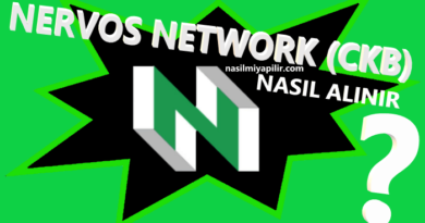 Nervos Network Coin Nasıl Alınır? CKB Coin Geleceği, Hangi Borsada?