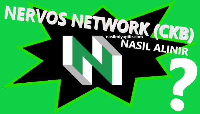 Nervos Network Coin Nasıl Alınır? CKB Coin Geleceği, Hangi Borsada?