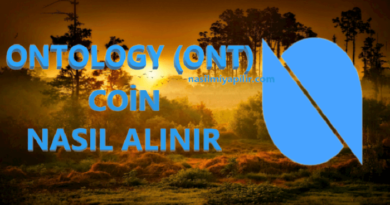 Ontology Coin Nasıl Alınır? ONT Coin Geleceği, Hangi Borsada?