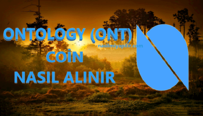 Ontology Coin Nasıl Alınır? ONT Coin Geleceği, Hangi Borsada?