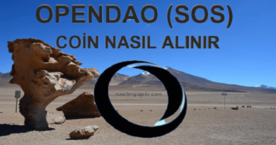 OpenDAO Coin Nasıl Alınır? SOS Coin Geleceği, Hangi Borsada?