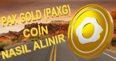 PAX Gold (PAXG) Coin Nasıl Alınır, Geleceği, Hangi Borsada?