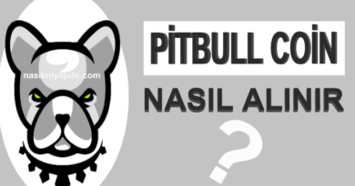 Pitbull (PIT) Coin Nasıl Alınır, Geleceği, Hangi Borsada?